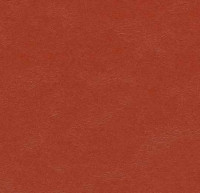 3352 Berlin Red Walton 